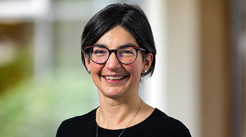 Prof. Dr. Anna Hirsch